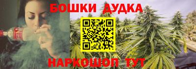 индика Краснокаменск