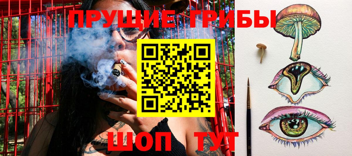 Кандалакша  Псилоцибиновые грибы Cubensis  Вход с VPN  Псилоцибиновые грибы MAGIC MUSHROOMS 
